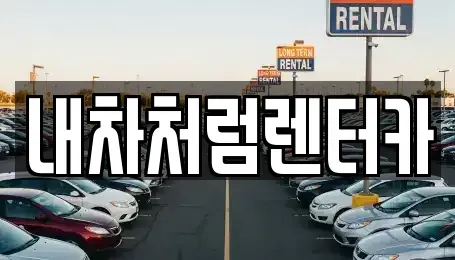 대구 동구 방촌동 렌트카 전문 내차처럼렌터카