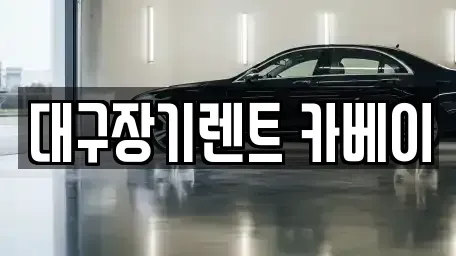 대구 동구 신천동 장기렌트카 전문 대구장기렌트 카베이