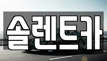 대구 동구 신천동 장기렌트카 전문 솔렌트카