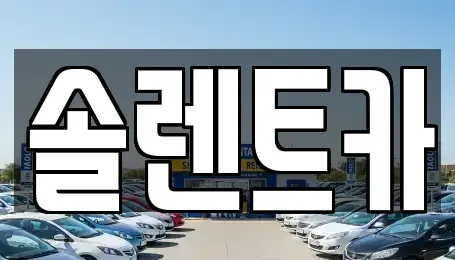 대구 동구 신천동 장기렌트카 전문 솔렌트카