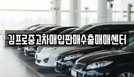대구 동구 신천동 중고차매입 전문 김프로중고차매입판매수출매매센터