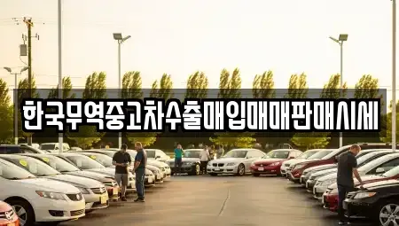 대구 북구 동천동 중고차매입 전문 한국무역중고차수출매입매매판매시세