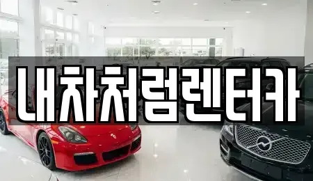 대구 수성구 노변동 렌트카,단기렌트카,장기렌트카,중고차,중고차매매,중고차매입