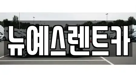 대구 수성구 노변동 렌트카 전문 뉴예스렌트카