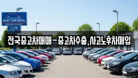 대구 수성구 노변동 중고차 전문 전국중고차매매-중고차수출,사고노후차매입