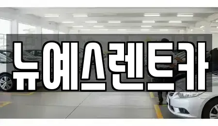 대구 중구 남성로 렌트카 전문 뉴예스렌트카