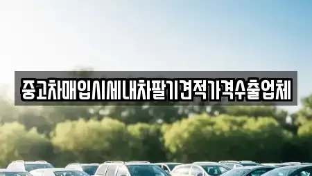 대구 중구 남성로 중고차 전문 중고차매입시세내차팔기견적가격수출업체