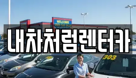 대구광역시 동구 금강동 렌트카 전문 내차처럼렌터카