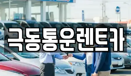 대구광역시 동구 효목동 렌트카 전문 극동통운렌트카