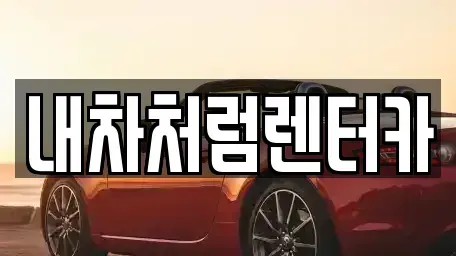 대구광역시 동구 효목동 렌트카 전문 내차처럼렌터카