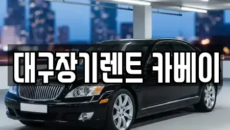 대구광역시 동구 효목동 장기렌트카 전문 대구장기렌트 카베이