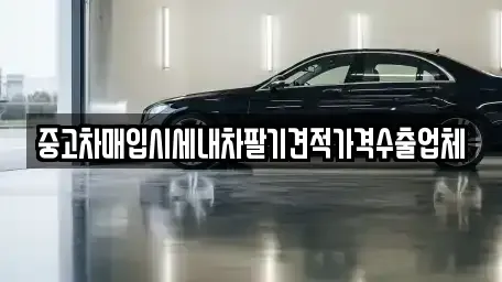 대구광역시 동구 효목동 중고차 전문 중고차매입시세내차팔기견적가격수출업체