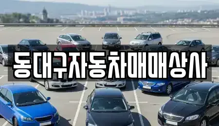 대구광역시 동구 효목동 중고차매매 전문 동대구자동차매매상사