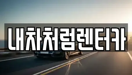 대구광역시 북구 대현동 렌트카 전문 내차처럼렌터카