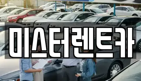 대구광역시 북구 대현동 렌트카 전문 미스터렌트카