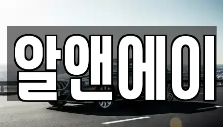 대구광역시 북구 대현동 렌트카 전문 알앤에이