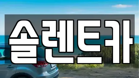 대구광역시 북구 대현동 장기렌트카 전문 솔렌트카