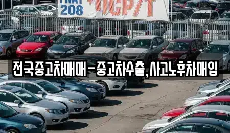 대구광역시 북구 대현동 중고차매입 전문 전국중고차매매-중고차수출,사고노후차매입