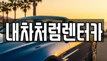 대구광역시 북구 동호동 렌트카 전문 내차처럼렌터카