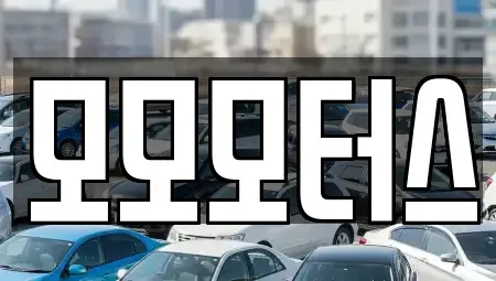 대구광역시 북구 동호동 중고차 전문 모모모터스
