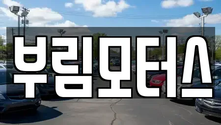 대구광역시 북구 동호동 중고차 전문 부림모터스