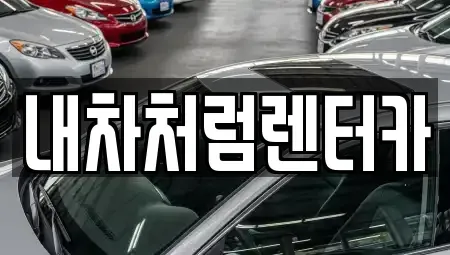 대구광역시 북구 사수동 렌트카 전문 내차처럼렌터카