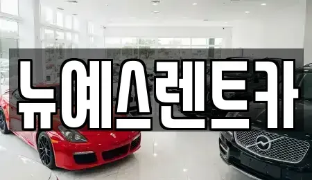 대구광역시 중구 서문로2가 렌트카 전문 뉴예스렌트카