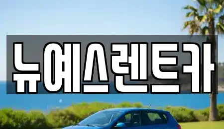 대구광역시 중구 서문로2가 렌트카 전문 뉴예스렌트카