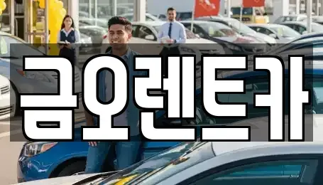 대구광역시 중구 서문로2가 장기렌트카 전문 금오렌트카