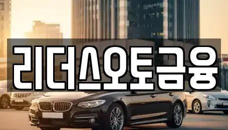 대구광역시 중구 서문로2가 장기렌트카 전문 리더스오토금융