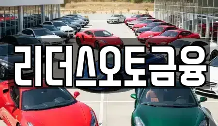 대구광역시 중구 서문로2가 장기렌트카 전문 리더스오토금융