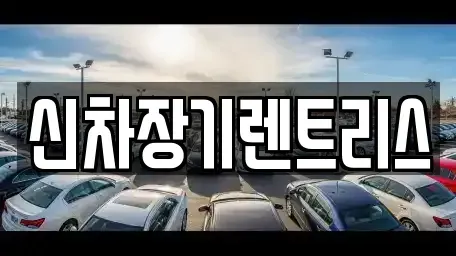 대구광역시 중구 서문로2가 장기렌트카 전문 신차장기렌트리스