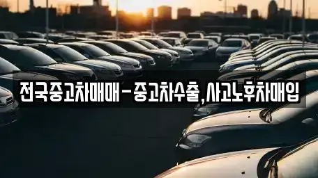 대구광역시 중구 서문로2가 중고차매매,단기렌트카,중고차매입,장기렌트카,중고차,렌트카