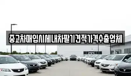 대구광역시 중구 서문로2가 중고차매매 전문 중고차매입시세내차팔기견적가격수출업체