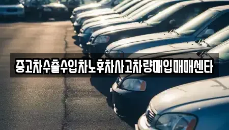 대구광역시 중구 서문로2가 중고차매매 전문 중고차수출수입차노후차사고차량매입매매센타