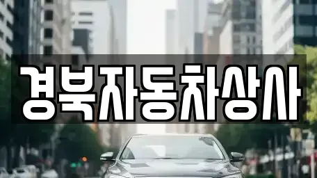 대구광역시 중구 장관동 중고차매매 전문 경북자동차상사