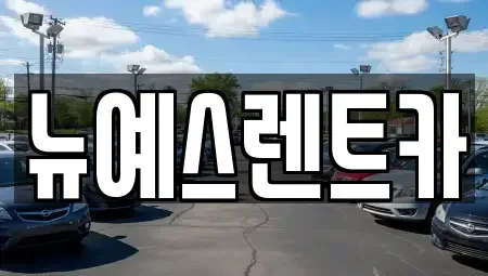 대구광역시 중구 태평로1가 렌트카 전문 뉴예스렌트카