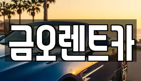 대구광역시 중구 태평로1가 장기렌트카 전문 금오렌트카