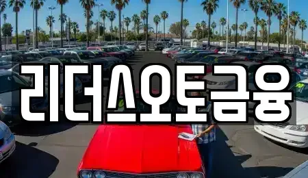 대구광역시 중구 태평로1가 장기렌트카 전문 리더스오토금융