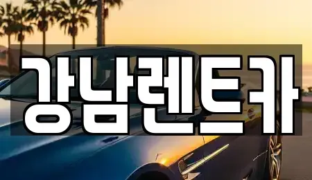 대전 대덕구 문평동 렌트카 전문 강남렌트카