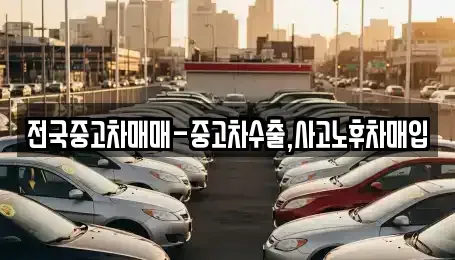 대전 대덕구 문평동 중고차 전문 전국중고차매매-중고차수출,사고노후차매입