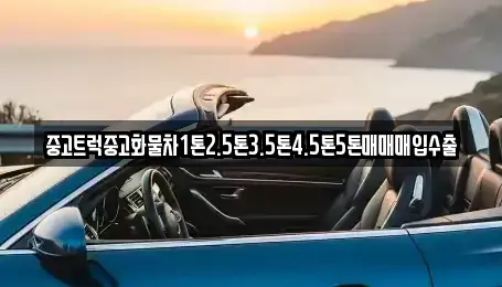 대전 대덕구 문평동 중고차 전문 중고트럭중고화물차1톤2.5톤3.5톤4.5톤5톤매매매입수출