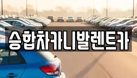 대전 대덕구 미호동 렌트카 전문 승합차카니발렌트카