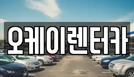 대전 대덕구 미호동 렌트카 전문 오케이렌터카