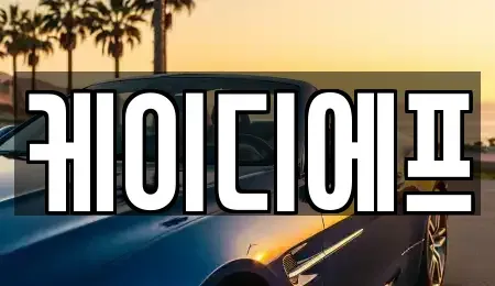 대전 대덕구 신대동 렌트카 전문 케이디에프