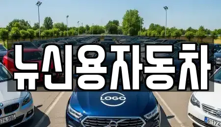 대전 대덕구 신대동 중고차 전문 뉴신용자동차