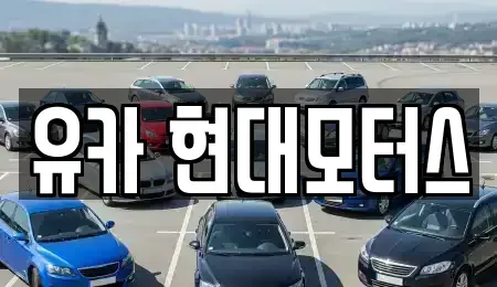 대전 대덕구 신대동 중고차 전문 유카 현대모터스