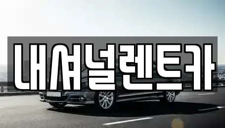 대전 대덕구 오정동 단기렌트카 전문 내셔널렌트카