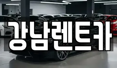 대전 서구 장안동 렌트카 전문 강남렌트카