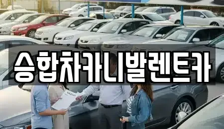 대전 서구 장안동 렌트카 전문 승합차카니발렌트카